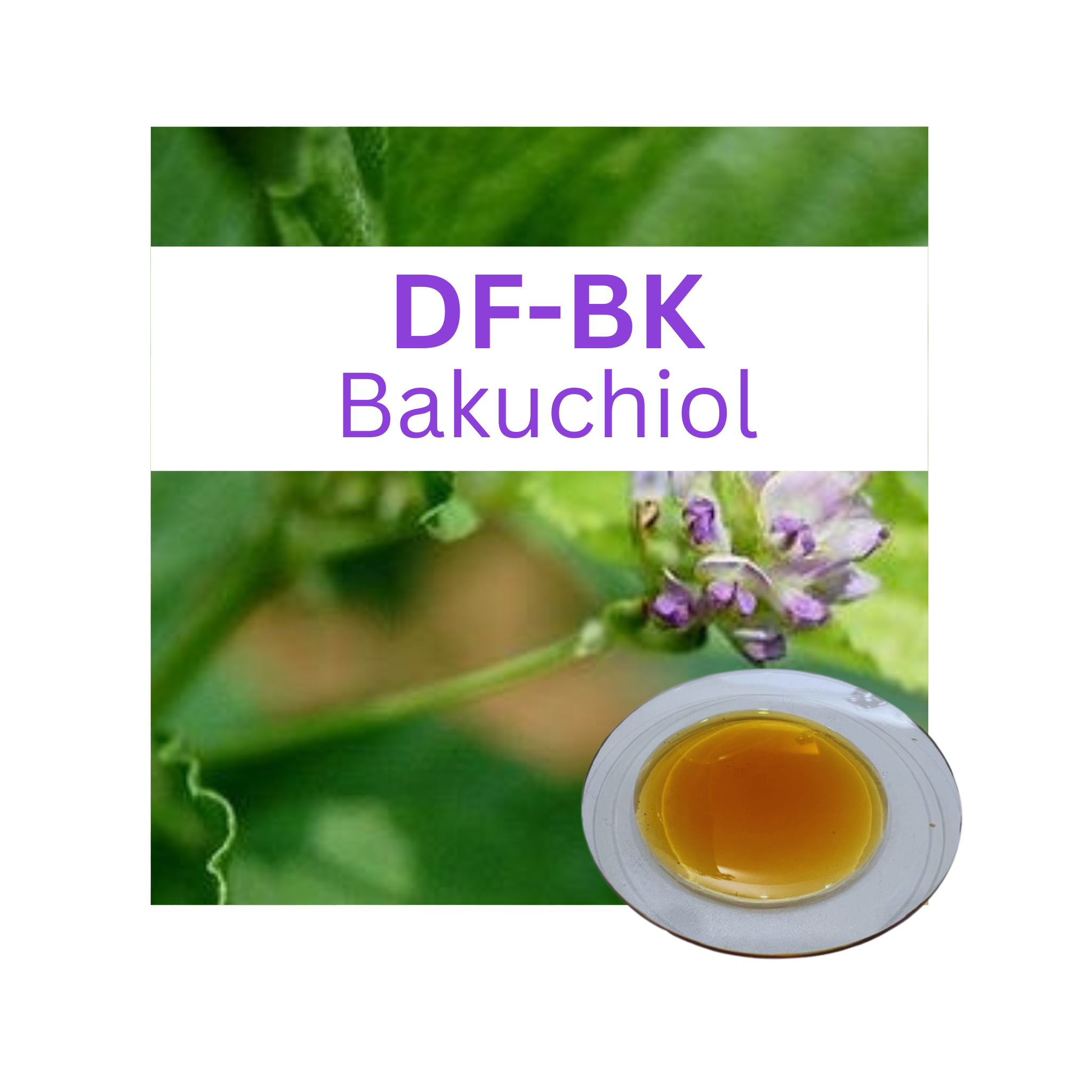 DF-BK, Bakuchiol, High Quality, All Natural