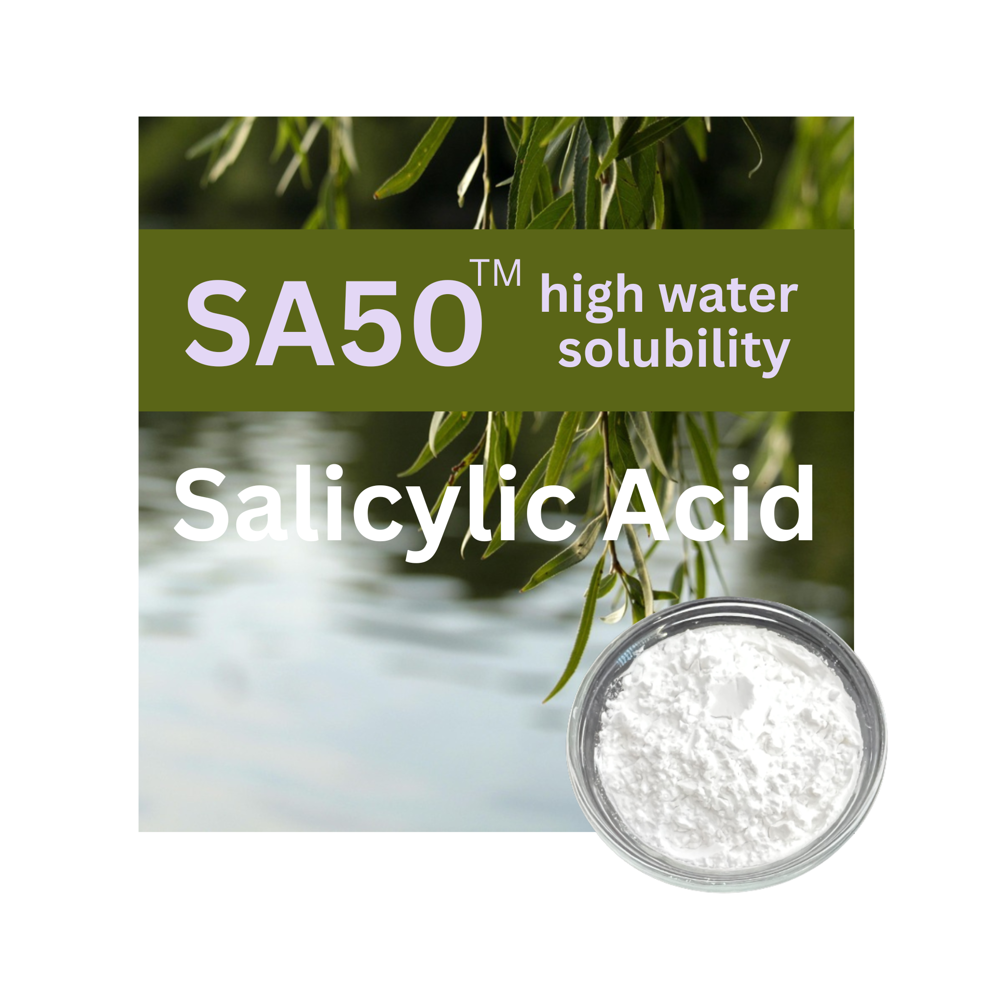 SA50 - High Water Solubility Salicylic Acid