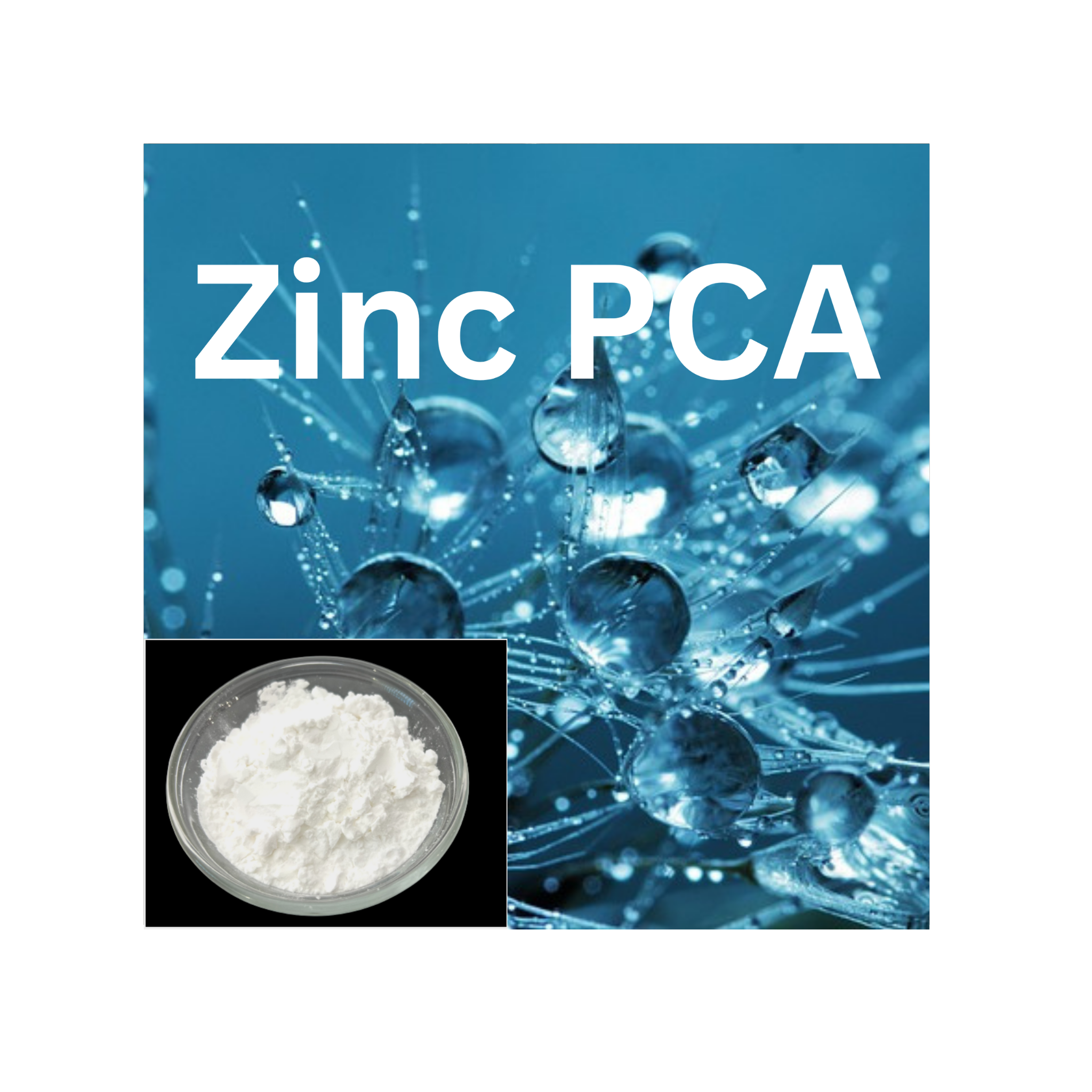Zinc PCA